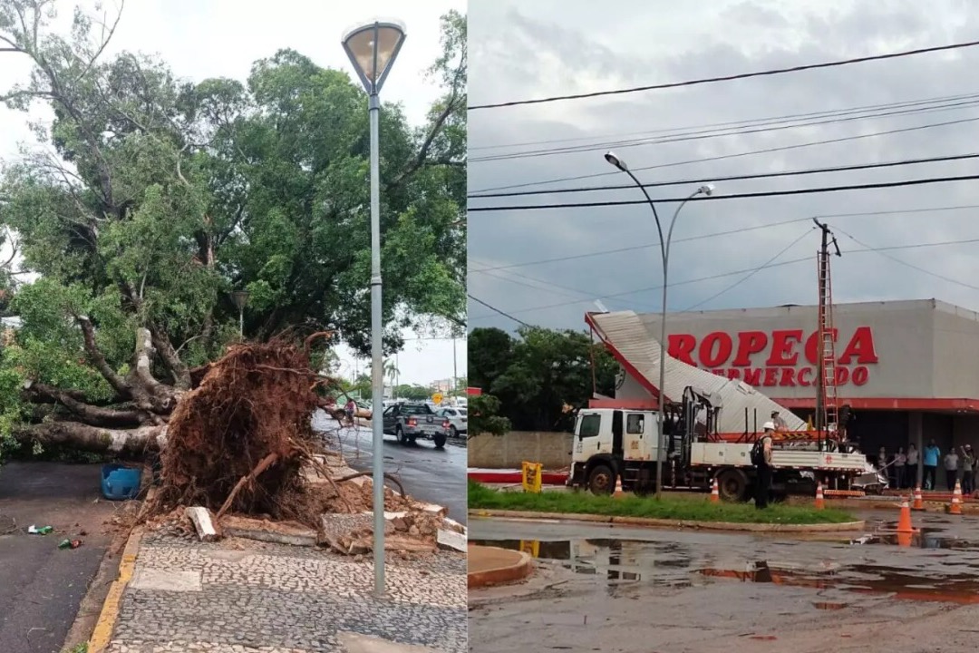 Ventania Derruba Rvores Centen Rias E Destelha Empresas Durante