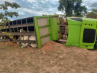 Equipe da PMA de Rio Negro presencia acidente com bitrem boiadeiro e ajuda a resgatar o motorista e parte do gado