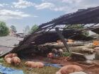 Vendaval destruiu barracão de suínos em São Gabriel do Oeste
