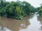 ONG identifica veneno que causa câncer em bacia do Pantanal