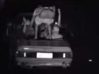 Passageiro mostra a bunda para a câmera após carro passar em alta velocidade por radar