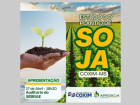 Estudo de viabilidade de plantio da soja em Coxim, será apresentado nesta quarta-feira