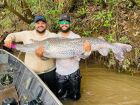 Durante pescaria, amigos fisgam pintado gigante de 1,72m e 50 kg em MS