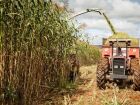 MS tem 14 municípios entre os 100 mais ricos do agronegócio do Brasil 