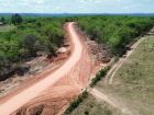 Trabalhador morre após ser atacado por enxame de abelhas em fazenda de Mato Grosso do Sul