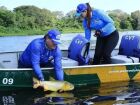 Projeto prorroga por mais dois anos proibição da pesca do dourado em MS