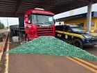 PRF intercepta caminhão com 400 kg de cocaína, 2ª grande apreensão do dia