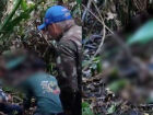 Vídeo mostra resgate do corpo de homem atacado por onça no Pantanal