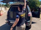 Polícia Civil em Coxim cumpre mandado de prisão por condenação de estupro de vulnerável 