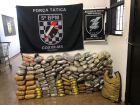 Polícia Militar e PRF apreendem mais de 100 kg de maconha e prendem dois homens em flagrante em Rio Verde