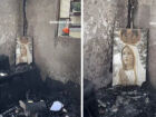 Imagem de Nossa Senhora de Fátima fica intacta após casa ser destruída pelo fogo
