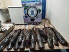 PMA de Coxim apreende 134 kg de pescado ilegal durante operação na região dos Bispos, em Sonora 
