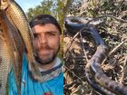 'Rei das sucuris': pescador que levou mordida rara de cobra vira influenciador e mostra como é a vida no berço das serpentes em MS