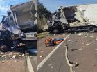 Colisão entre caminhão e carreta mata dois motoristas e interdita BR em MS