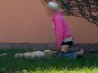 Idoso é flagrado praticando zoofilia com cadela em MS