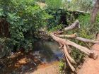 Produtor de mandioca tenta pegar água em córrego, escorrega e morre afogado em Rio Verde de MT/MS