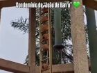 João-de-barro constrói 'condomínio' em escada de reservatório abandonado em MS