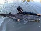 Pescador mergulha e trava luta de 40 minutos com pintado de 1,61 metro em rio de MS 