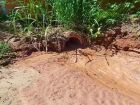 MP investiga se erosão no rio Taquari tem ligação com obras da Agesul em Coxim 