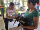 Prefeitura de Coxim vacina mais de 8 mil cães e gatos contra a raiva em ação no último sábado