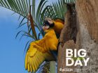 Coxim celebra o sucesso do Big Day com entusiasmo e riqueza de registros