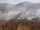 Incêndios florestais: governo de MS decreta situação de emergência e mobiliza recursos