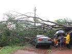 Ventos de 89 km/h causam estragos em Campo Grande e chuva segue para região norte