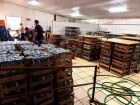 Fábrica clandestina de bebidas é descoberta em MS e dono acaba preso