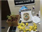 Adolescente é apreendido por associação ao tráfico em São Gabriel do Oeste