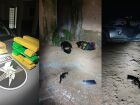 Em Coxim, dupla atira contra equipe do Choque e um acaba morto ao ser baleado