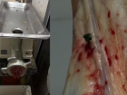 Açougue é interditado após fiscalização apreender quase meia tonelada de carnes impróprias em MS