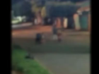 Câmera de segurança registra adolescente agredindo irmãos de 2 e 5 anos em MS; mãe é presa por abandono de incapaz