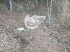 Corpo de homem é encontrado decapitado em área rural próxima a Sonora