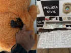 Polícia encontra arma escondida em urso de pelúcia durante operação em MS; 5 são presos
