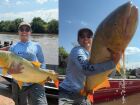 'ACHEI A BARRA DE OURO': empresária coxinense fisga peixe dourado gigante de 18 kg em rio de Mato Grosso do Sul