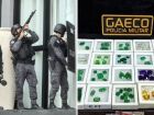Mansão, joias e carros blindados: com mandados em MS operação contra lavagem de dinheiro de facção bloqueia R$ 8,1 milhões