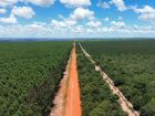 Agesul contrata obra de R$ 73,3 milhões para pavimentar 20 km da MS-213 em Sonora