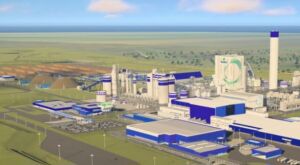 Alcinópolis e Figueirão poderão abrigar a quinta fábrica de celulose de Mato Grosso do Sul