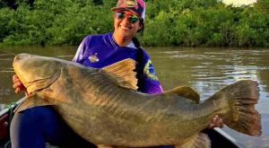 Pescadora trava luta e captura jaú gigante em rio no Pantanal de MS 