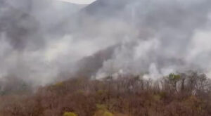 Incêndios florestais: governo de MS decreta situação de emergência e mobiliza recursos
