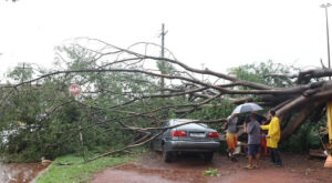 Ventos de 89 km/h causam estragos em Campo Grande e chuva segue para região norte