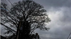 Com avisos de 'perigo potencial', Mato Grosso do Sul deve iniciar dezembro com chuva
