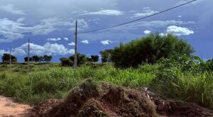 "Limpe seus terrenos": Prefeitura de Coxim emite notifica&ccedil;&atilde;o p&uacute;blica contra terrenos sujos e abandonados