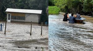 'Situa&ccedil;&atilde;o cr&iacute;tica': 35 fam&iacute;lias pantaneiras ficam desalojadas ap&oacute;s cheia do Rio Taquari em Coxim