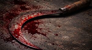 Idoso &eacute; atacado com golpes de foice e tem m&atilde;o amputada em MS