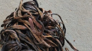 Pol&iacute;cia militar e pol&iacute;cia civil prendem autor de furto de fios em Coxim