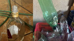 Casal &eacute; preso suspeito de fabricar e vender bebidas alco&oacute;licas adulteradas em MS