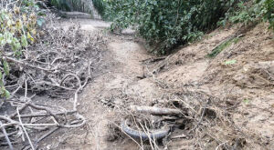 Ossada encontrada em MS pode ser de casal desaparecido h&aacute; 12 anos