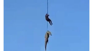Crocodilo suspeito de ter devorado homem &eacute; i&ccedil;ado por helic&oacute;ptero