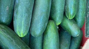 Chuvas intensas faz pre&ccedil;o do pepino e piment&atilde;o verde subir em MS